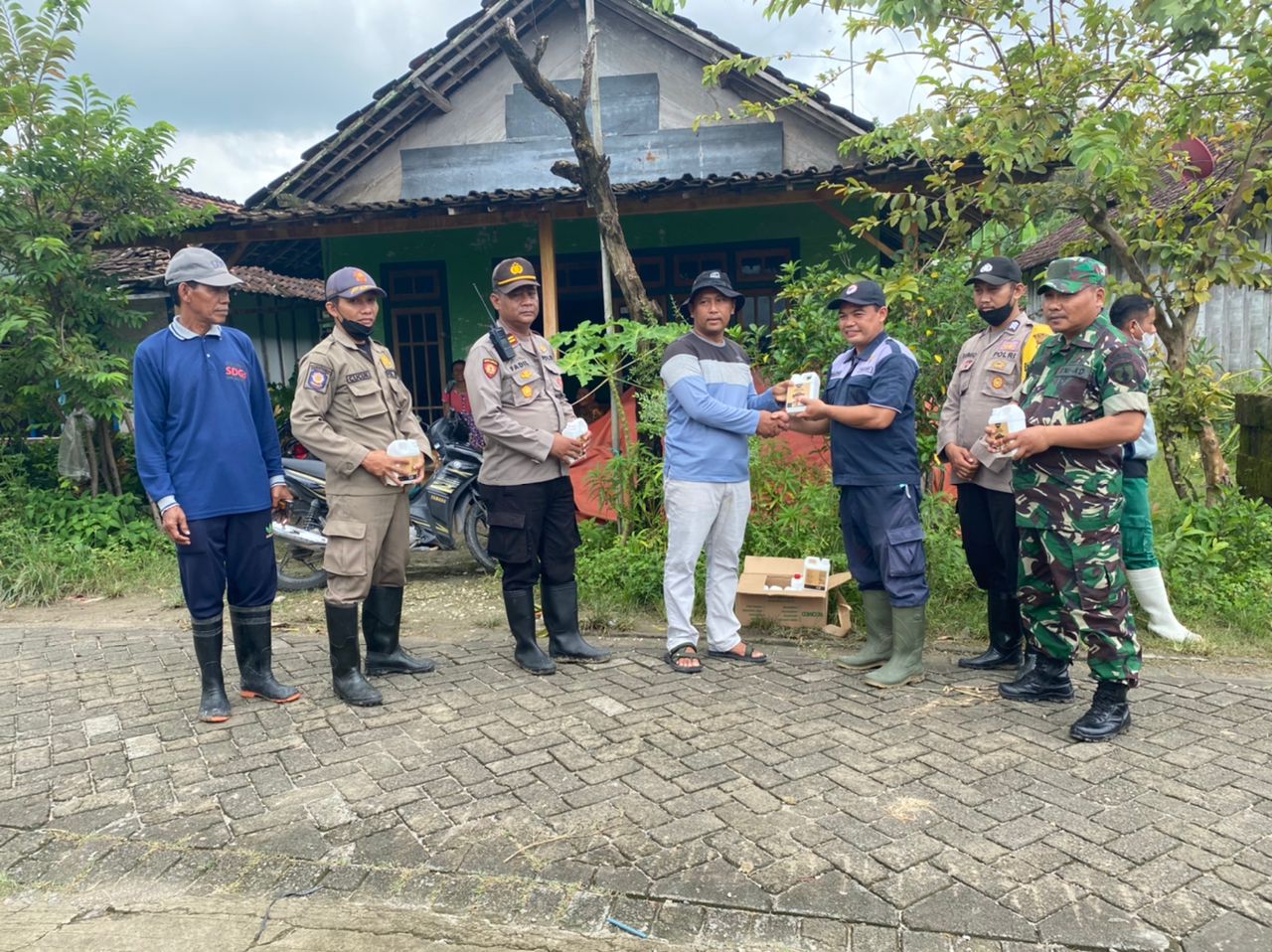 PENYEMPROTAN KANDANG SAPI